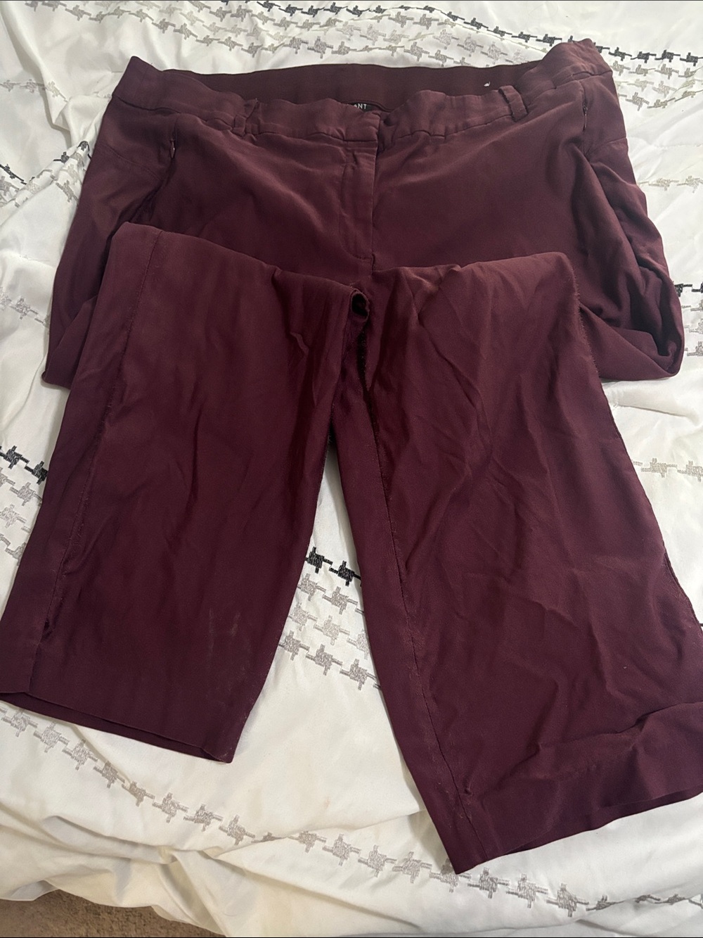 Women's Dress Pants in Deep Burgundy 22w